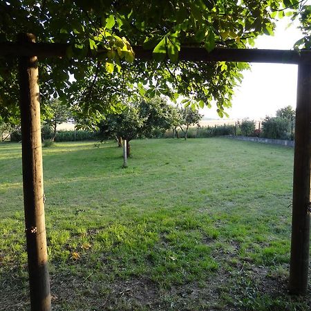 Nitschke "Zum Nusshof" Apartamento Ahrensfelde Exterior foto